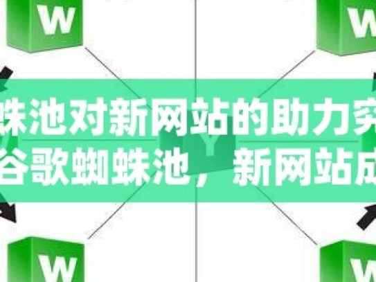 谷歌蜘蛛池对新网站的助力究竟如何？揭秘谷歌蜘蛛池，新网站成长的助推器还是无用功？