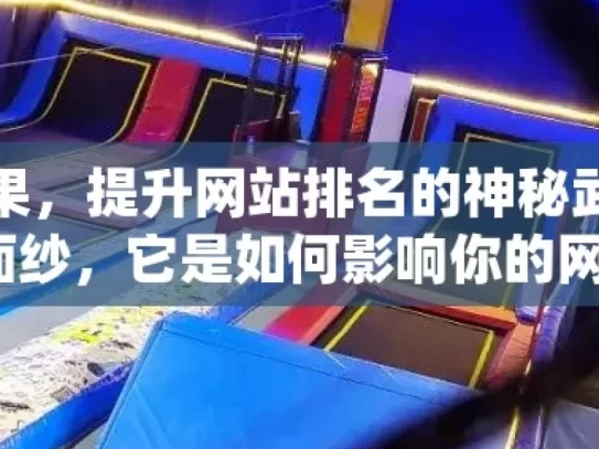 探索谷歌蜘蛛池效果，提升网站排名的神秘武器？揭秘谷歌蜘蛛池的神秘面纱，它是如何影响你的网站排名的？