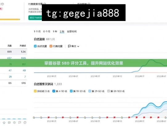 掌握谷歌 SEO 评分工具，提升网站优化效果，掌握谷歌 SEO 评分工具的技巧