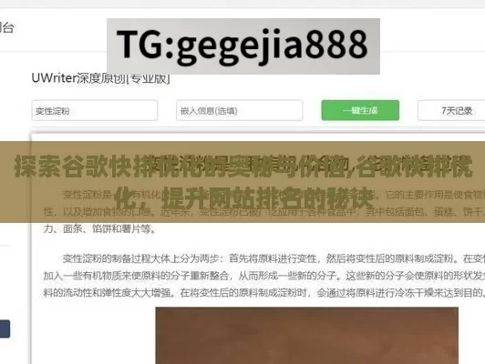 探索谷歌快排优化的奥秘与价值,谷歌快排优化，提升网站排名的秘诀