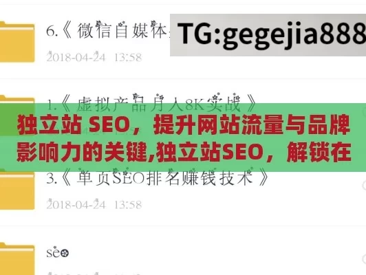 独立站 SEO，提升网站流量与品牌影响力的关键,独立站SEO，解锁在线业务成功的密码