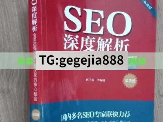 探索 SEO，解开搜索引擎优化的奥秘