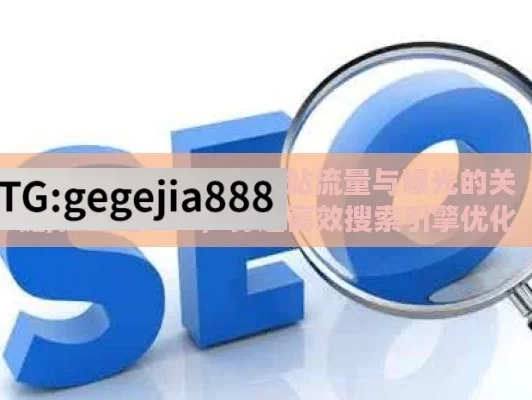 独立站 SEO，提升网站流量与曝光的关键,独立站SEO，打造高效搜索引擎优化策略的终极指南