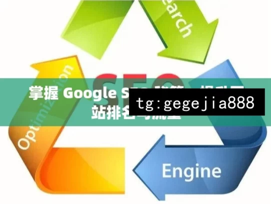 掌握 Google SEO 秘籍，提升网站排名与流量，掌握 Google SEO 秘籍