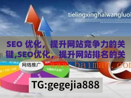 SEO 优化，提升网站竞争力的关键,SEO优化，提升网站排名的关键策略