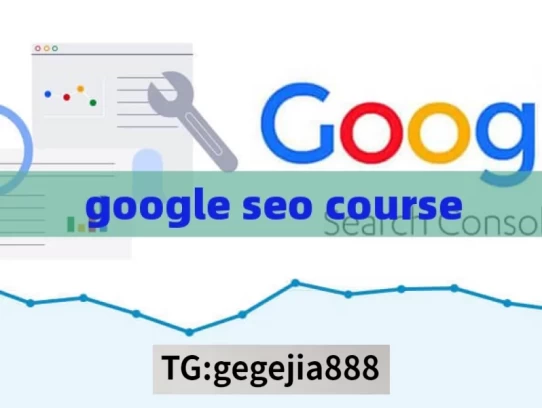 google seo course，Google SEO 课程探秘