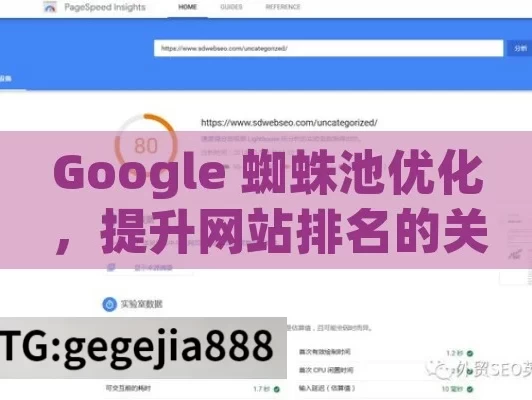 Google 蜘蛛池优化，提升网站排名的关键策略,掌握Google蜘蛛池优化，提升网站曝光率