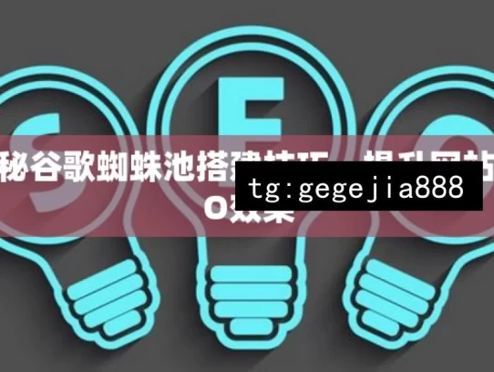 揭秘谷歌蜘蛛池搭建技巧，提升网站SEO效果，揭秘谷歌蜘蛛池搭建及SEO提升技巧