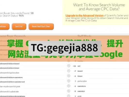 掌握 Google 关键词优化，提升网站流量与竞争力,掌握Google关键词优化，提升网站排名的秘诀