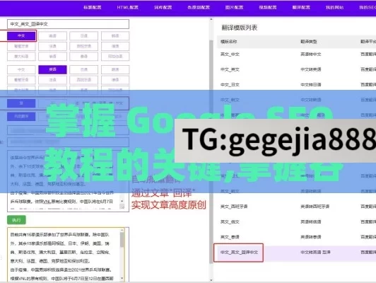 掌握 Google SEO 教程的关键,掌握谷歌SEO，提升网站排名的黄金法则