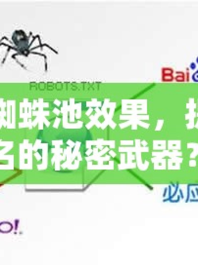 谷歌蜘蛛池效果，提升网站排名的秘密武器？揭秘谷歌蜘蛛池效果，提升网站排名的利器 - 