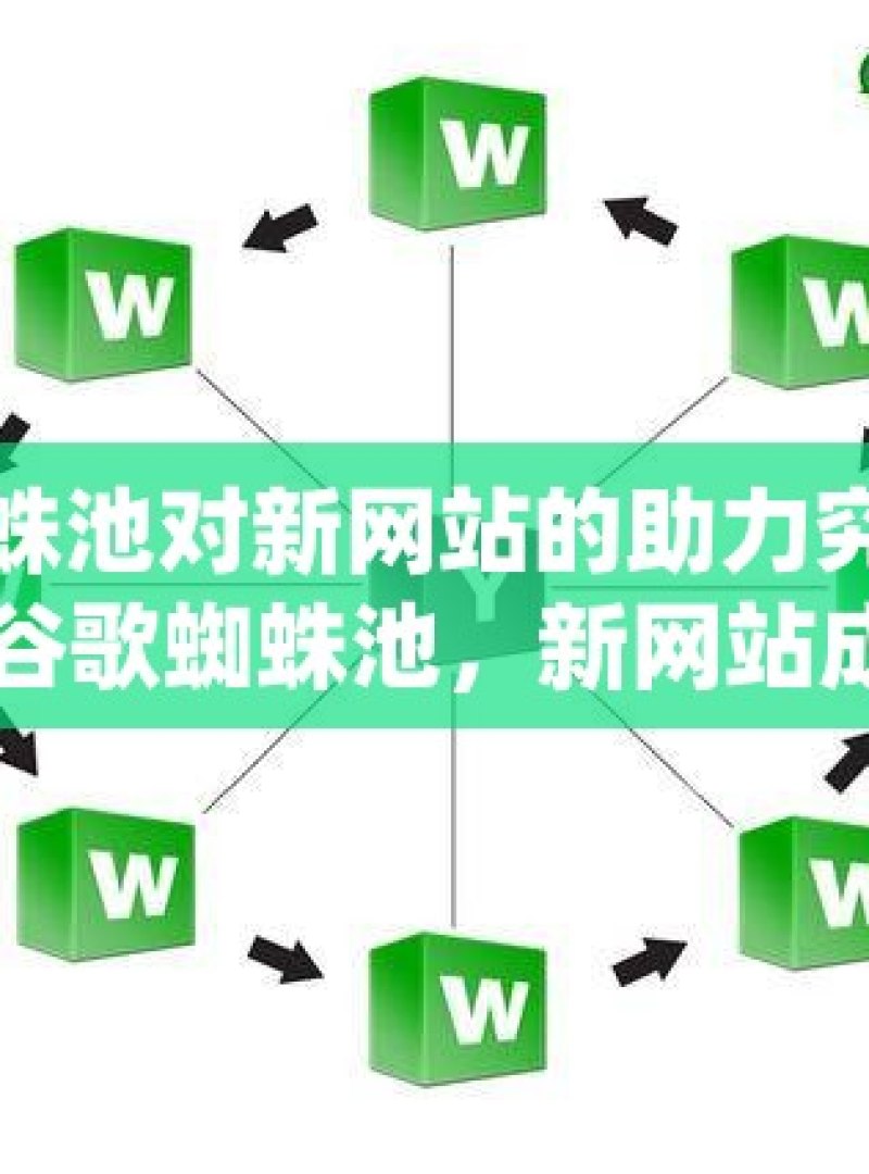 谷歌蜘蛛池对新网站的助力究竟如何？揭秘谷歌蜘蛛池，新网站成长的助推器还是无用功？