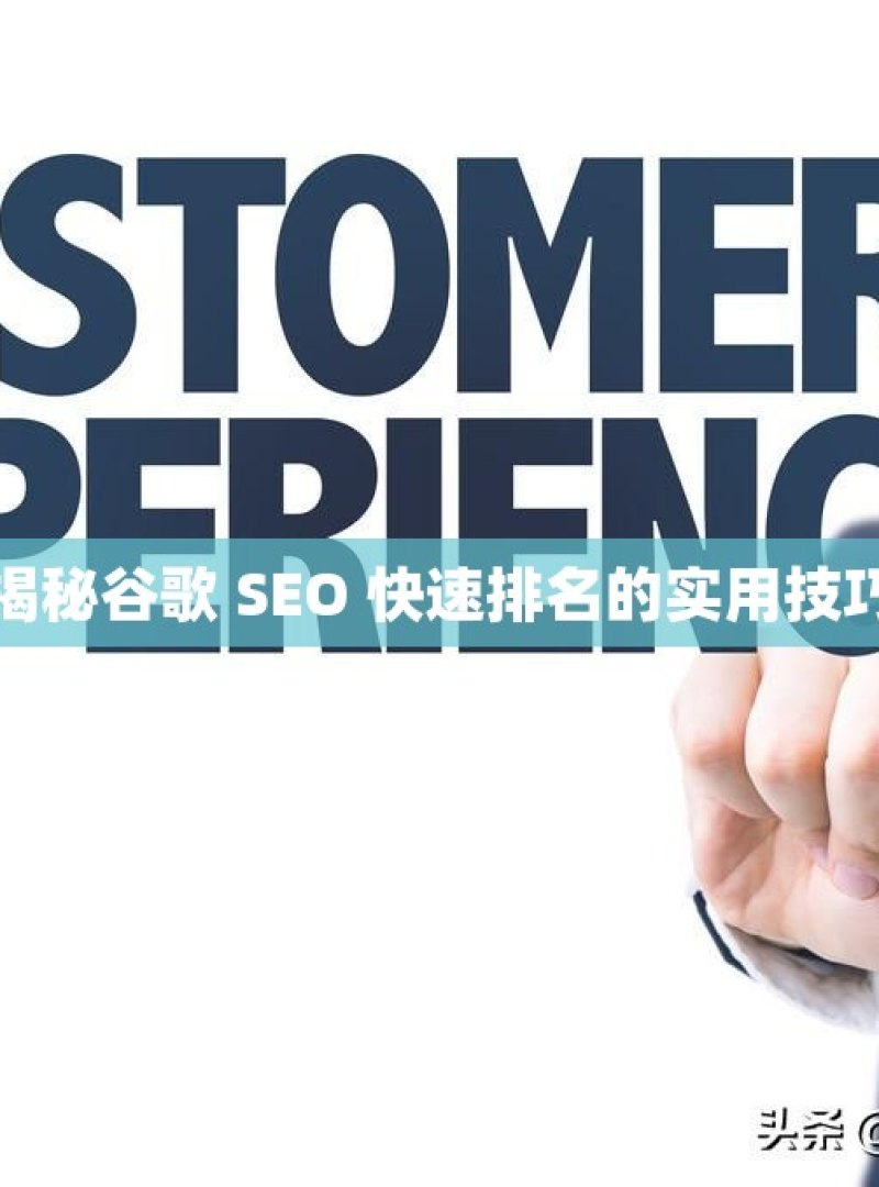 揭秘谷歌 SEO 快速排名的实用技巧