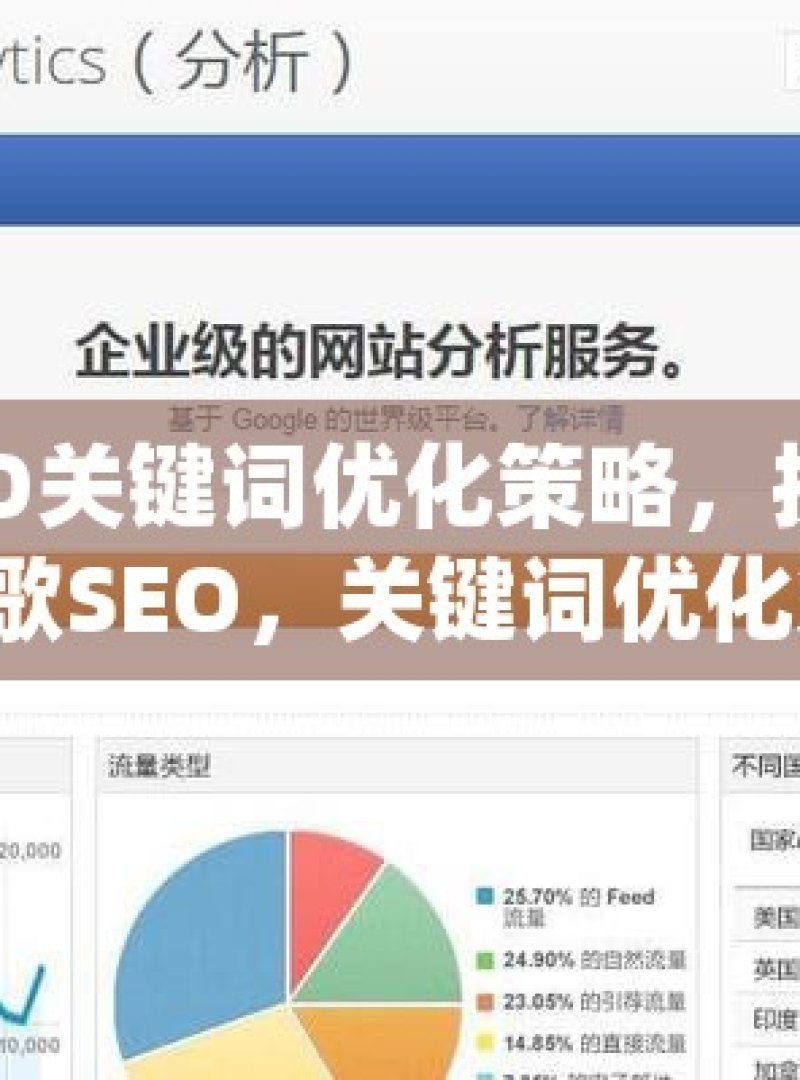 掌握谷歌SEO关键词优化策略，提升网站排名秘籍揭秘谷歌SEO，关键词优化策略大公开！