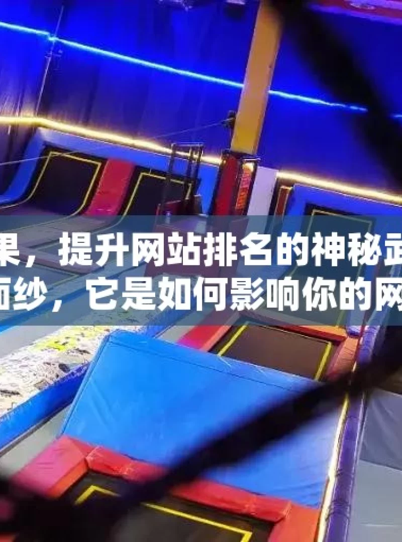 探索谷歌蜘蛛池效果，提升网站排名的神秘武器？揭秘谷歌蜘蛛池的神秘面纱，它是如何影响你的网站排名的？