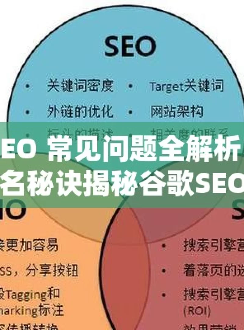 谷歌 SEO 常见问题全解析，提升网站排名秘诀揭秘谷歌SEO，解决常见问题，提升网站排名！