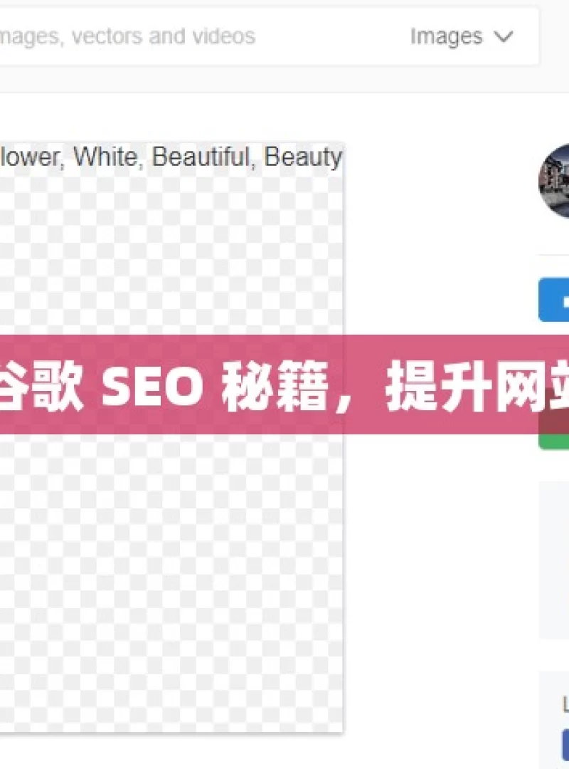 掌握谷歌 SEO 秘籍，提升网站排名