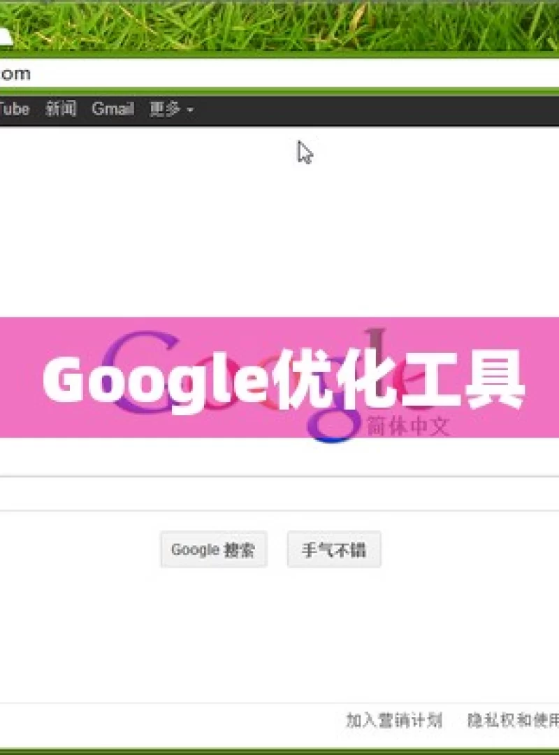 Google优化工具