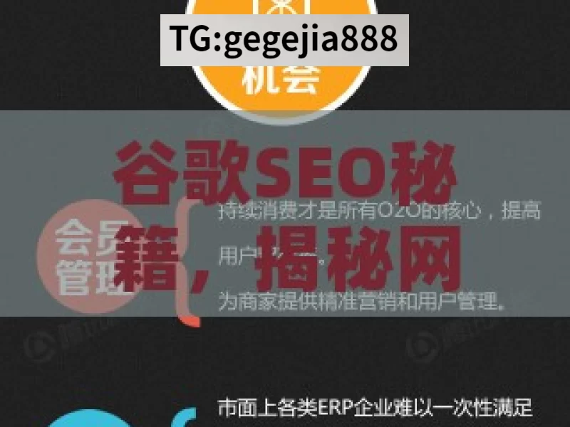 谷歌SEO秘籍，揭秘网站排名飞跃的黄金法则！