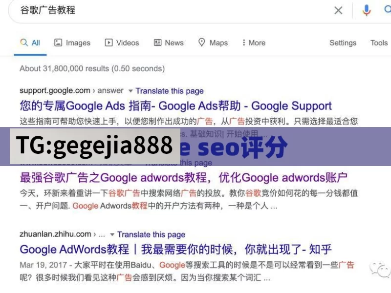 google seo评分