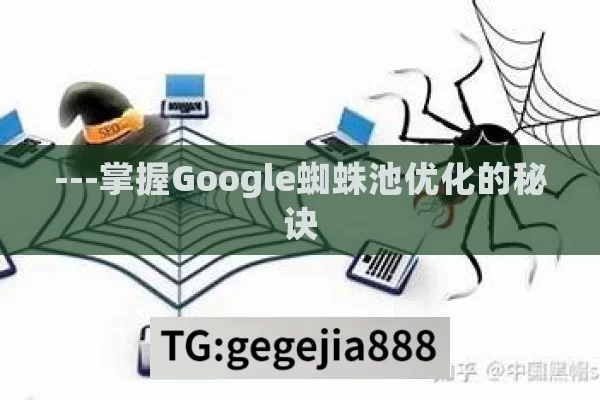 ---掌握Google蜘蛛池优化的秘诀