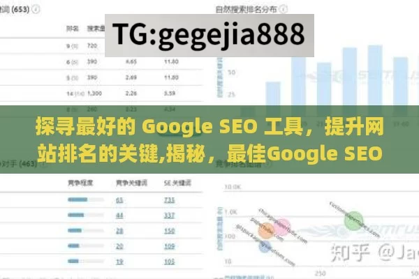 探寻最好的 Google SEO 工具，提升网站排名的关键,揭秘，最佳Google SEO工具大比拼