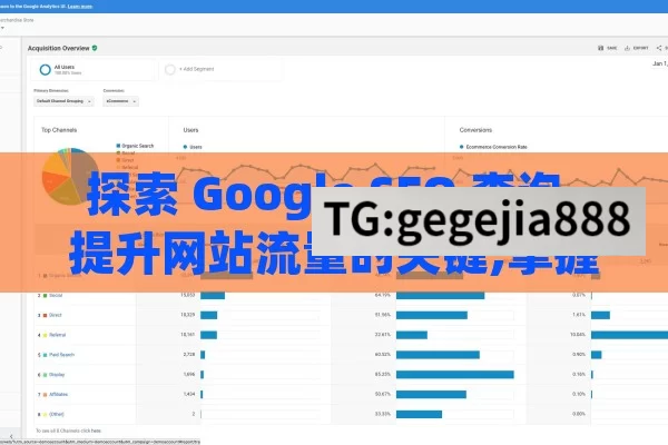 探索 Google SEO 查询，提升网站流量的关键,掌握Google SEO查询，提升网站排名