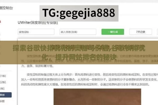 探索谷歌快排优化的奥秘与价值,谷歌快排优化，提升网站排名的秘诀