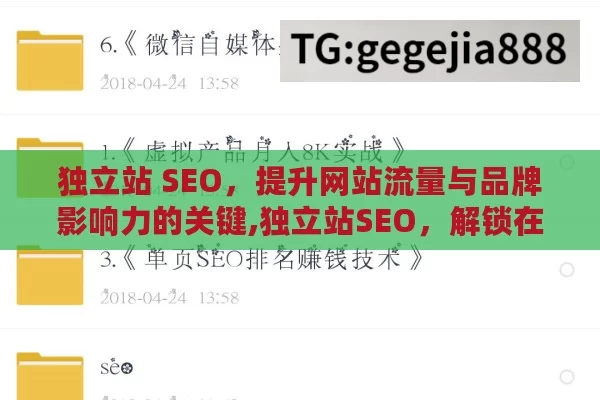 独立站 SEO，提升网站流量与品牌影响力的关键,独立站SEO，解锁在线业务成功的密码