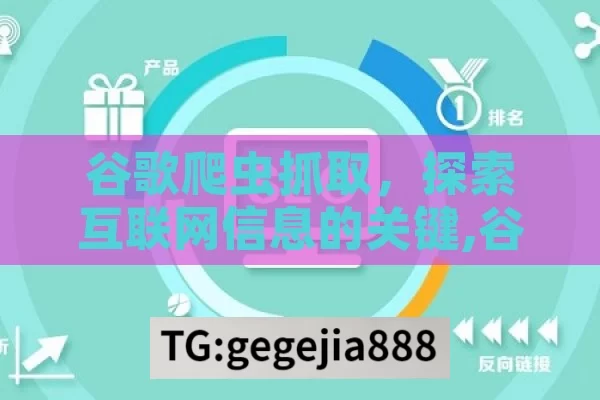 谷歌爬虫抓取，探索互联网信息的关键,谷歌爬虫抓取，优化网站曝光的关键步骤