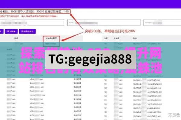 探索蜘蛛池 SEO，提升网站排名的有效策略,蜘蛛池SEO，提升网站排名的秘密武器