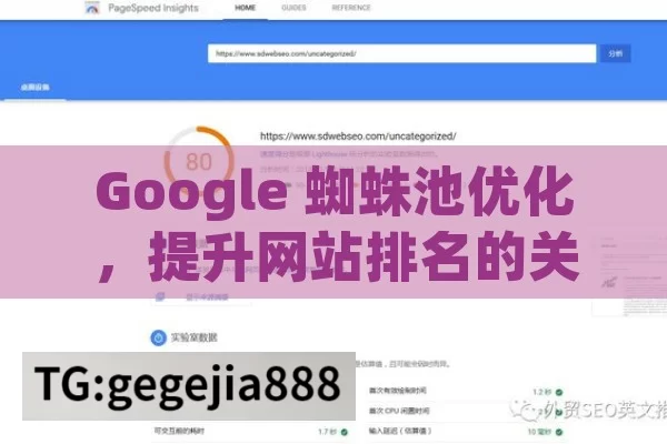 Google 蜘蛛池优化，提升网站排名的关键策略,掌握Google蜘蛛池优化，提升网站曝光率