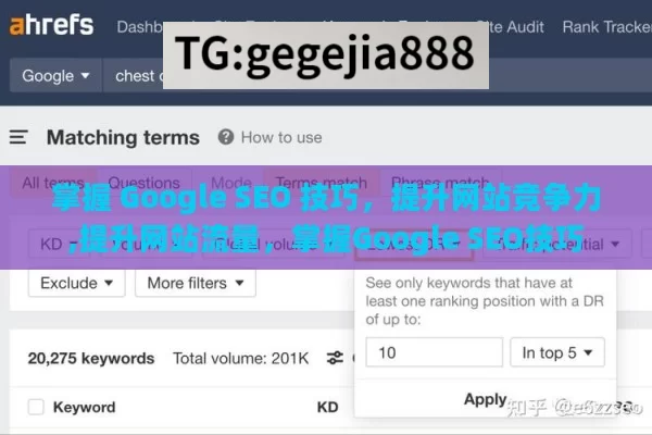 掌握 Google SEO 技巧，提升网站竞争力,提升网站流量，掌握Google SEO技巧