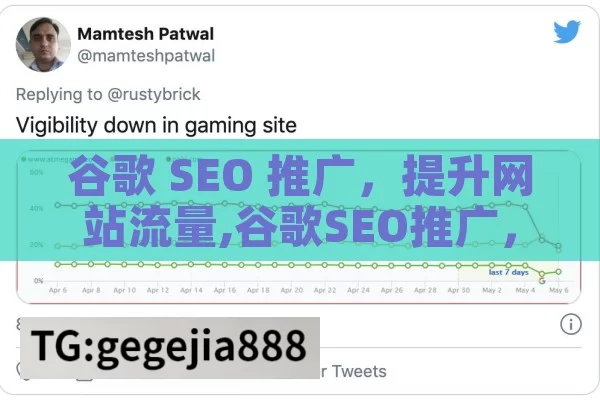 谷歌 SEO 推广，提升网站流量,谷歌SEO推广，提升网站排名的秘诀