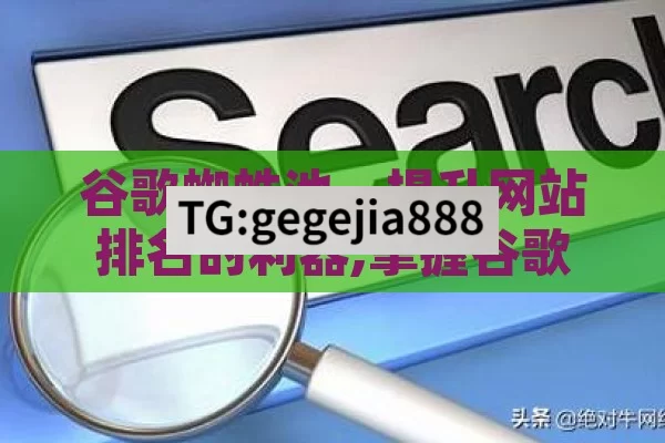 谷歌蜘蛛池，提升网站排名的利器,掌握谷歌蜘蛛池，提升网站SEO的秘诀