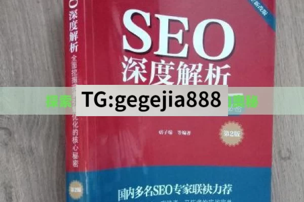 探索 SEO，解开搜索引擎优化的奥秘