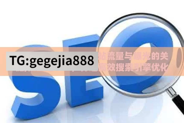 独立站 SEO，提升网站流量与曝光的关键,独立站SEO，打造高效搜索引擎优化策略的终极指南